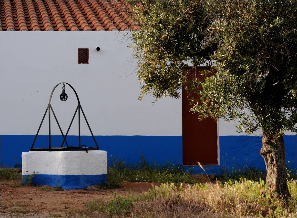 Poço tradicional junto a um olival alentejano (foto: Guy Moll, CC BY 2.0)