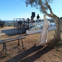 V Matança do Porco e Desmancha na Serra de São Miguel