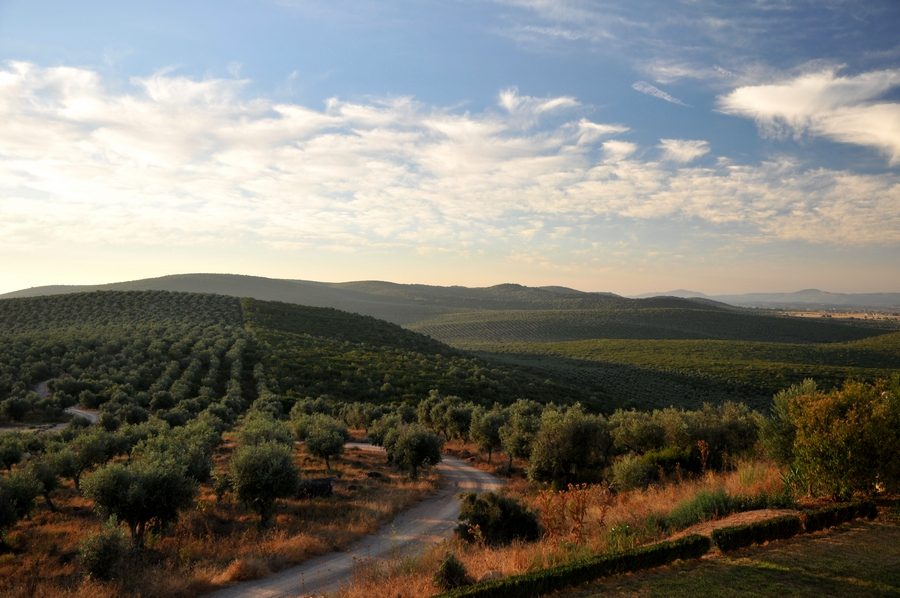 Serra de São Miguel
