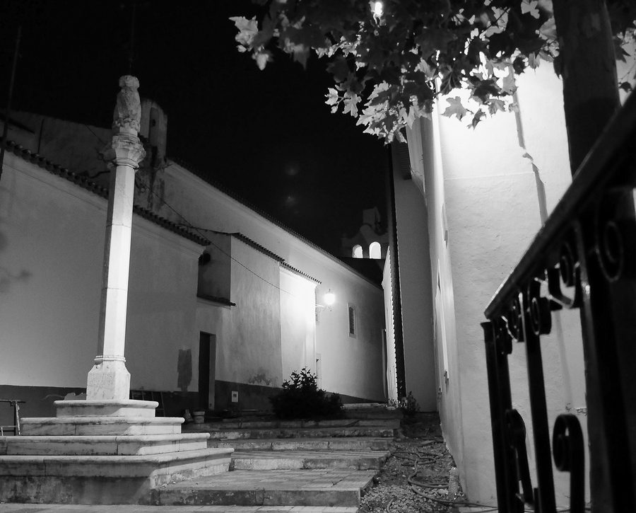 Foto: Guy MOLL from Faro, Portugal / Wikimedia Commons (CC BY 2.0)
